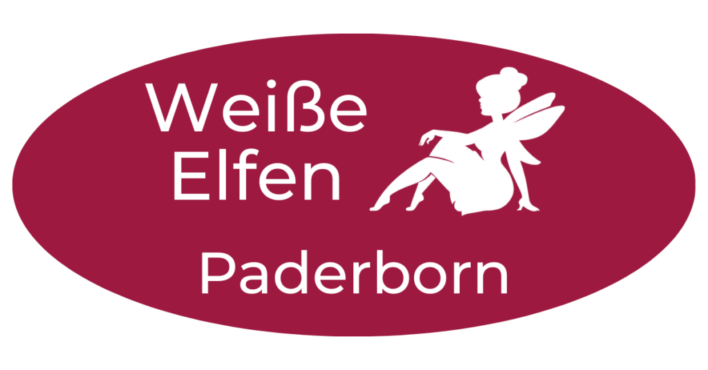 Paderborn Logo old